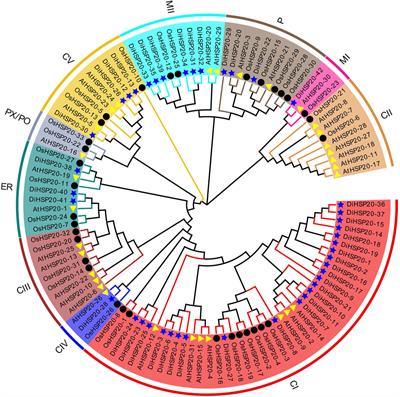 Genome-wide identification, characterization and expression of HSP 20 gene family in dove